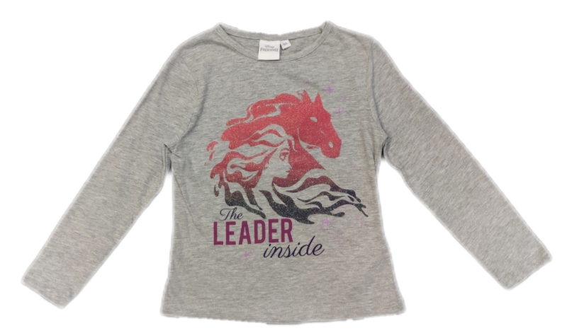 Frozen Langarmshirt für Mädchen in grau "Leader inside"